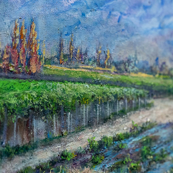 Viñedos sanjuaninos, Luis Godoy